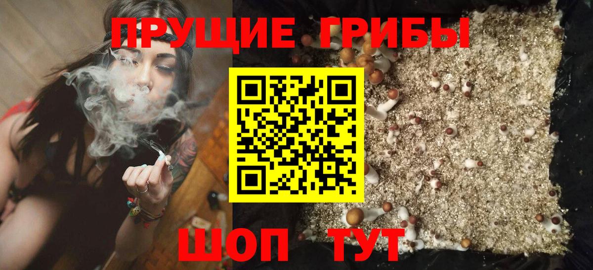 Псилоцибиновые грибы MAGIC MUSHROOMS  Вход с VPN  Норильск 